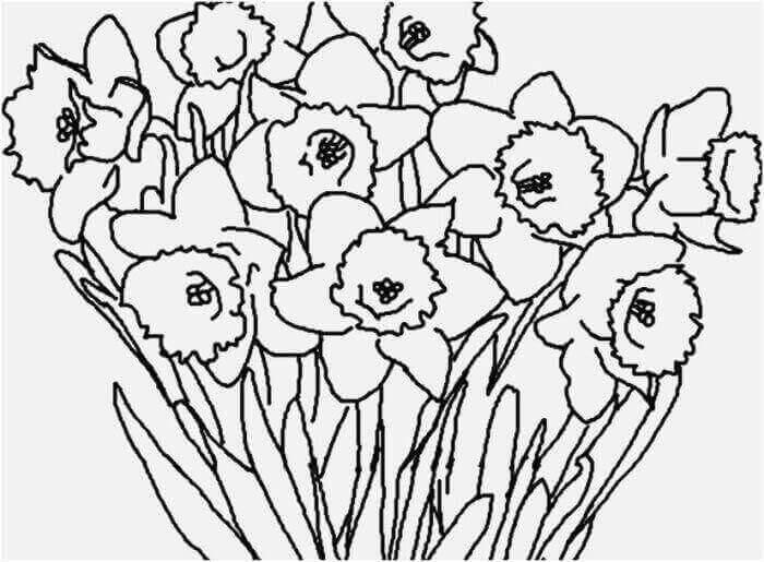 Cara menggambar gambar bunga