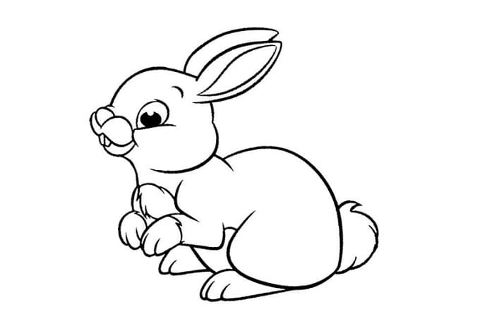 sketsa kelinci