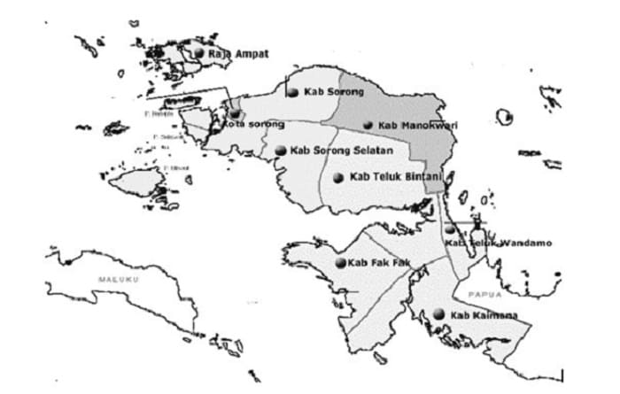 peta papua barat hitam putih
