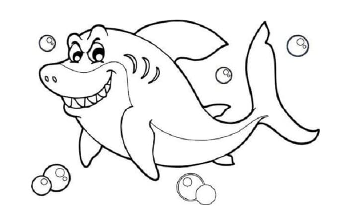 sketsa hiu